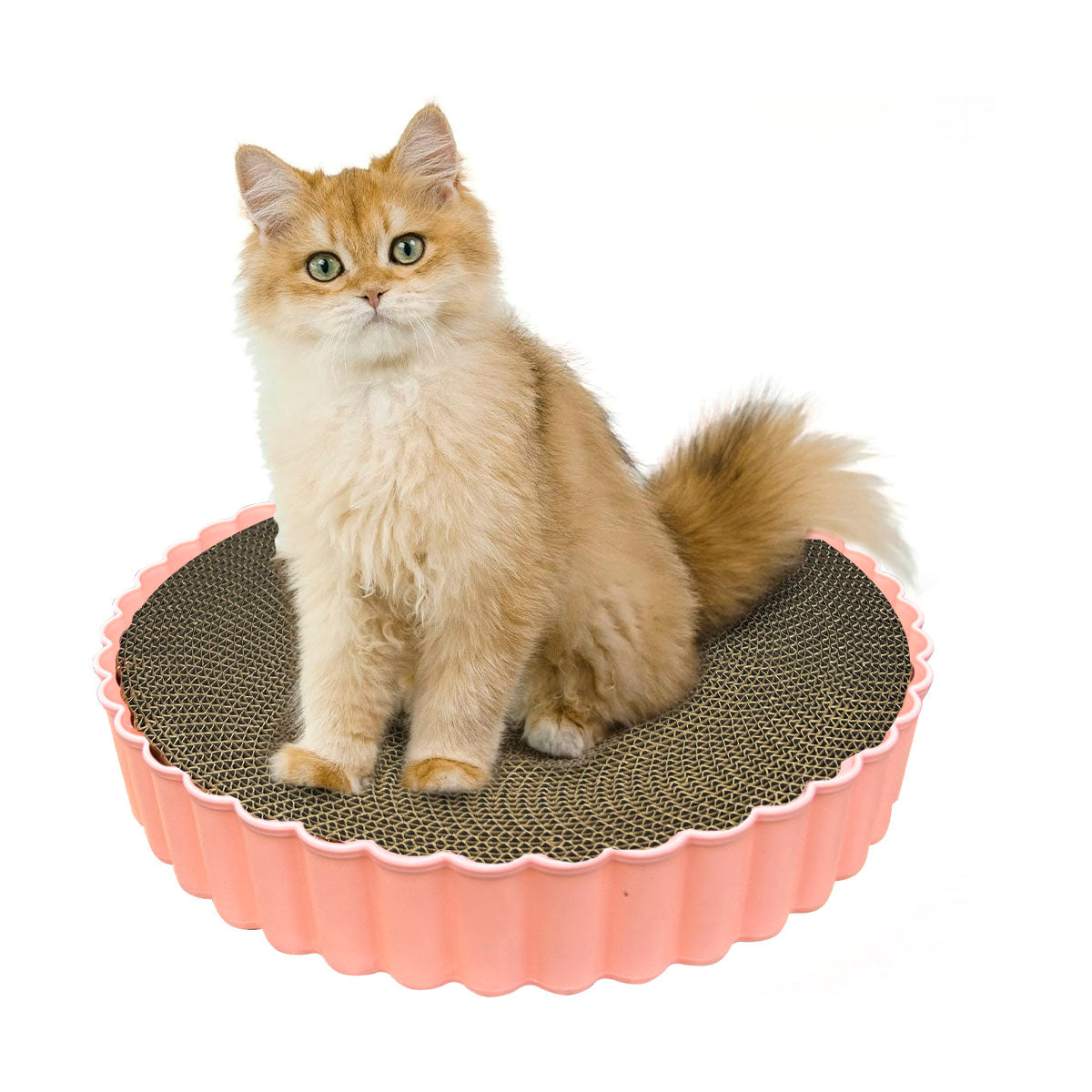 Rascador Para Gatos Catnip Anti Estrés Cartón Corrugado SC2112-217
