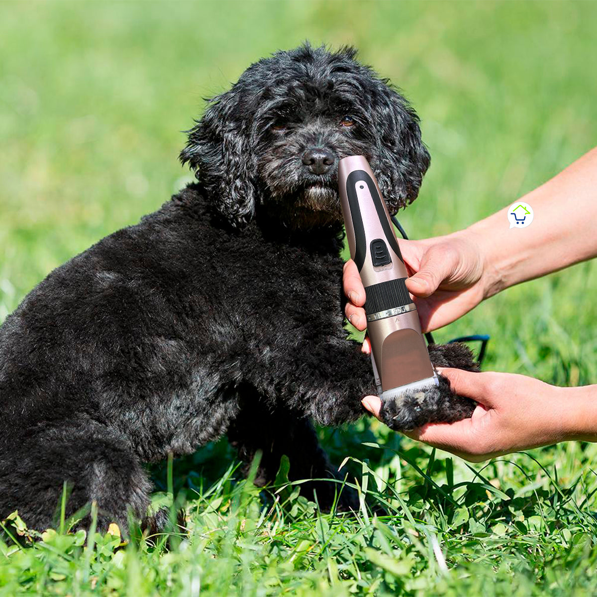 Máquina Motilar Mascotas Inalámbrica Profesional Peluquería KM-1056