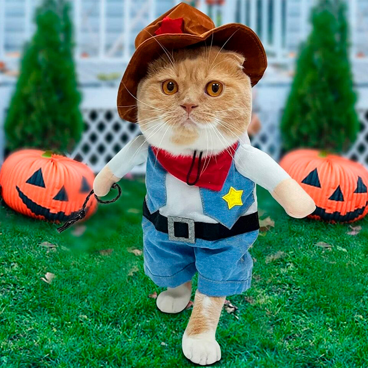 Disfraz De Vaquero Mascotas Perro Gato Halloween TV52