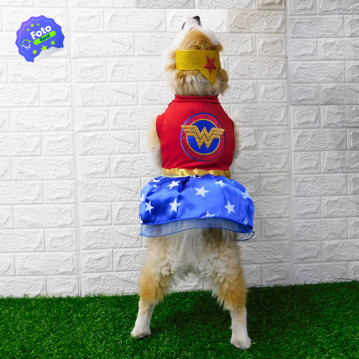 Disfraz Para Mascotas De Superhéroe Halloween Perro Gato GY003MMA