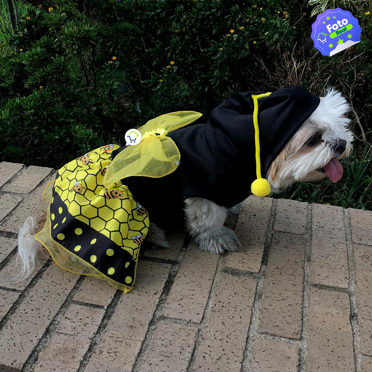 Disfraz Abeja Para Perro Gato Mascotas  Halloween GD01ABEJ