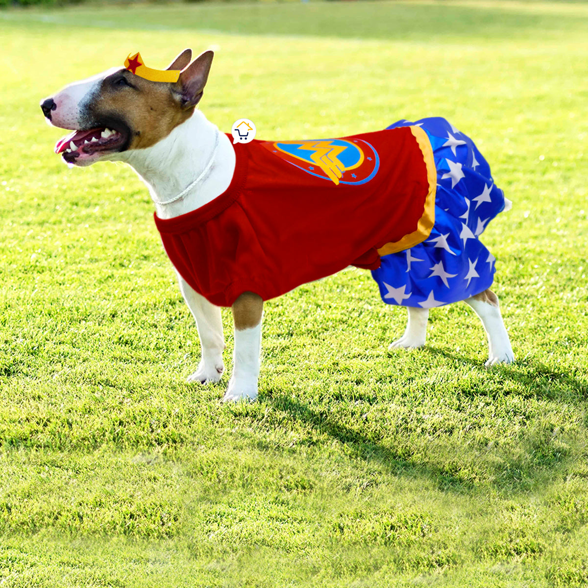 Disfraz Para Mascotas De Superhéroe Halloween Perro Gato GY003MMA