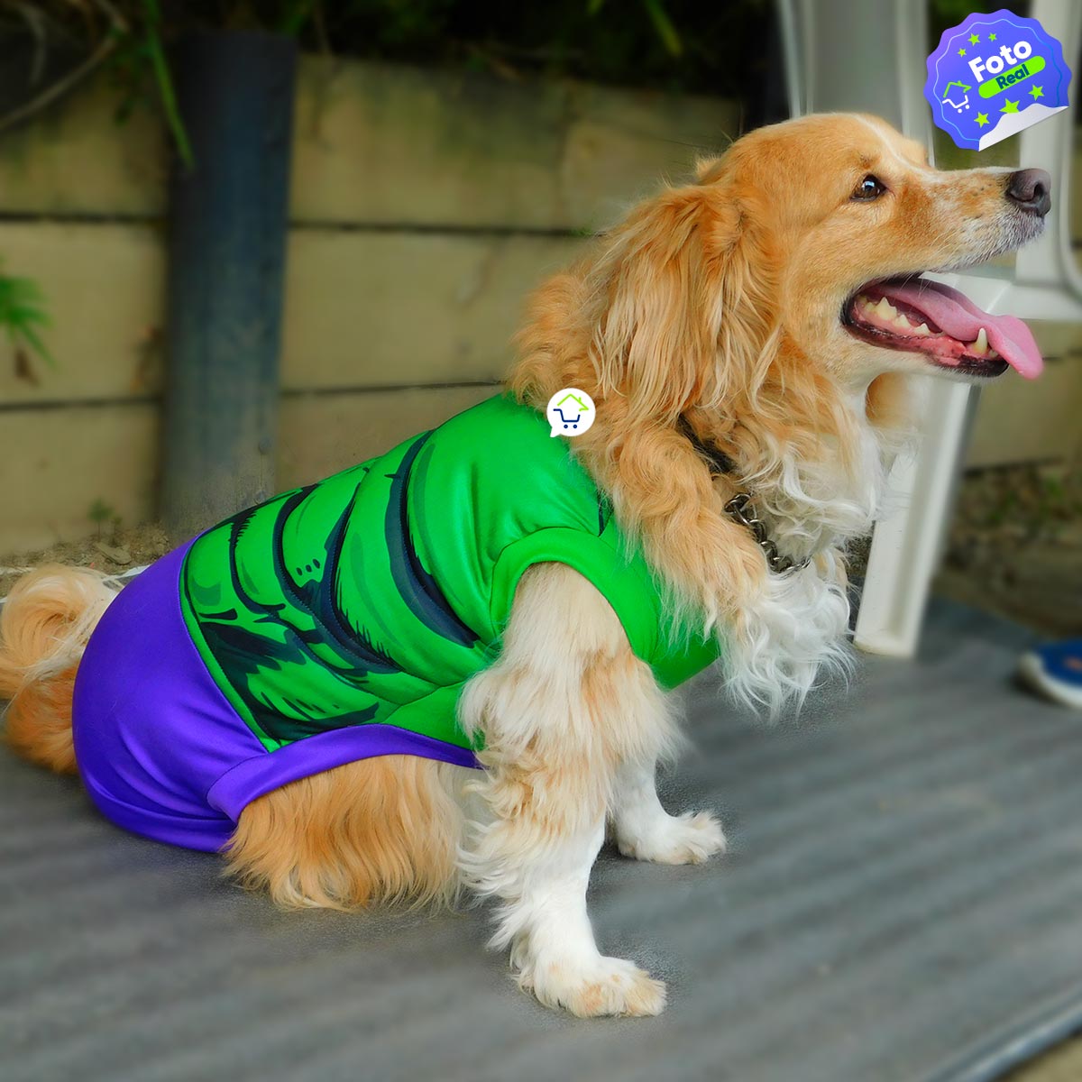 Disfraz Superhéroe Mutante Para Perro Gato Mascotas Halloween GD01HULK