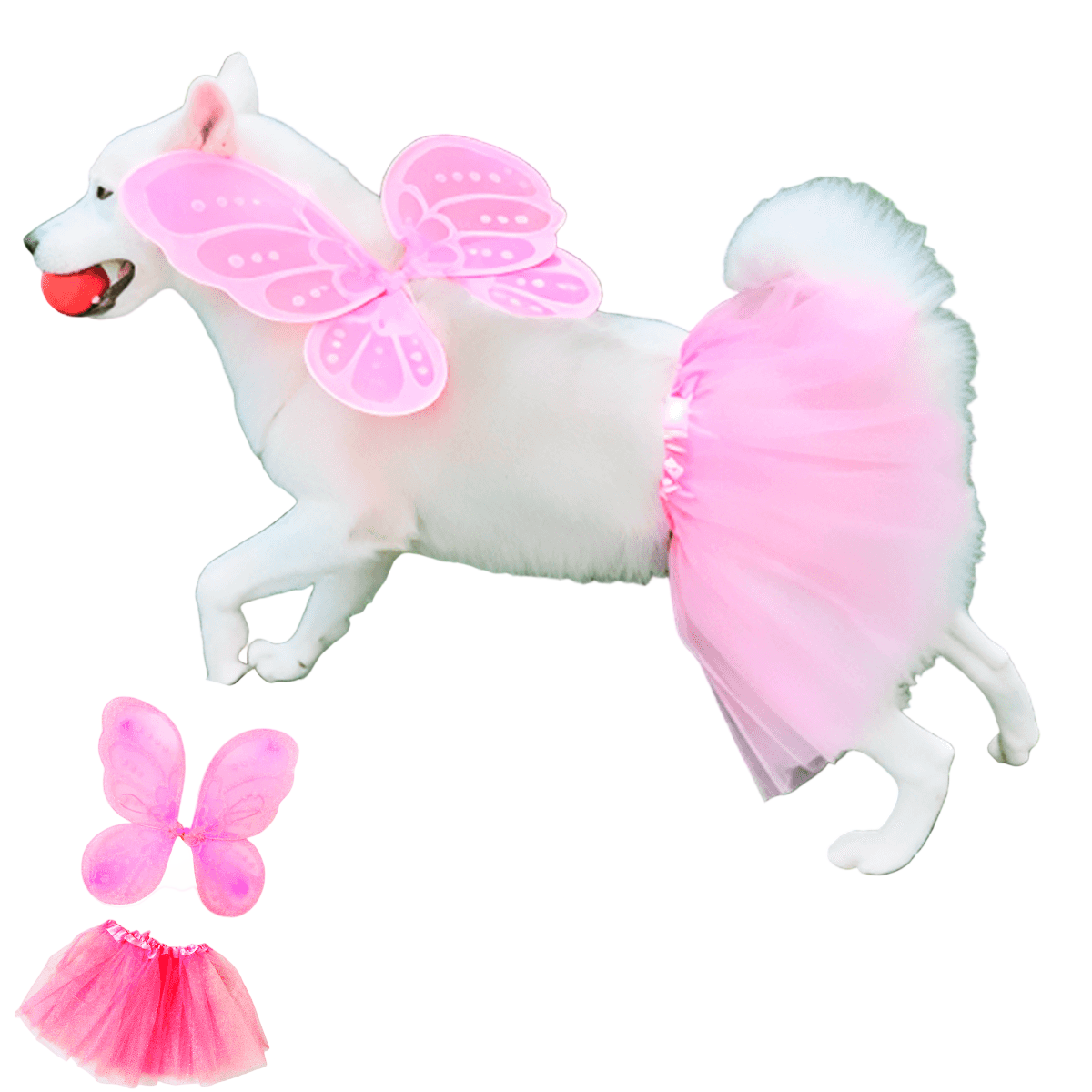 Disfraz Para Mascota De Hada Tutú Alas Halloween OF-1507PET