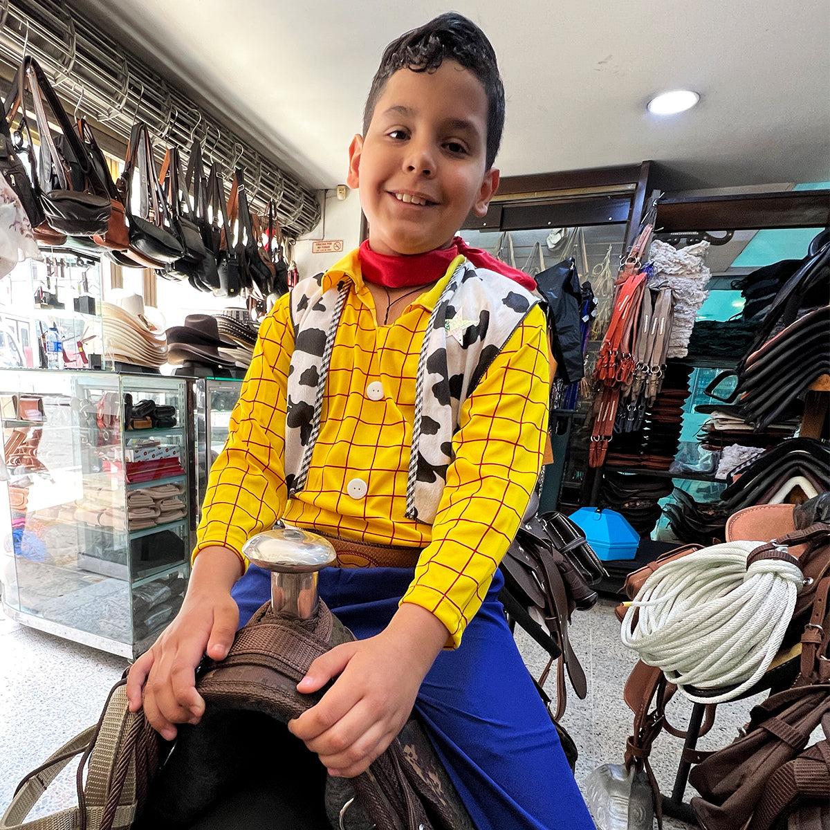 Disfraz De Vaquero Woody Para Niño Y Adulto Carnaval Halloween DSWOD