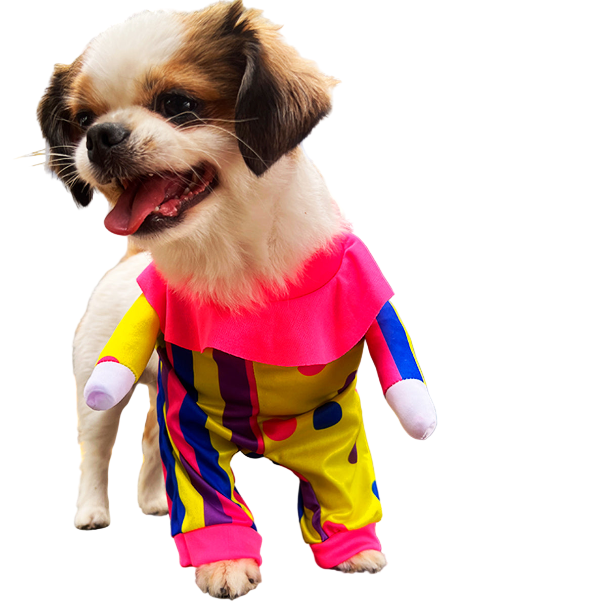 Disfraz Para Mascotas Payasito Halloween DPMP-01