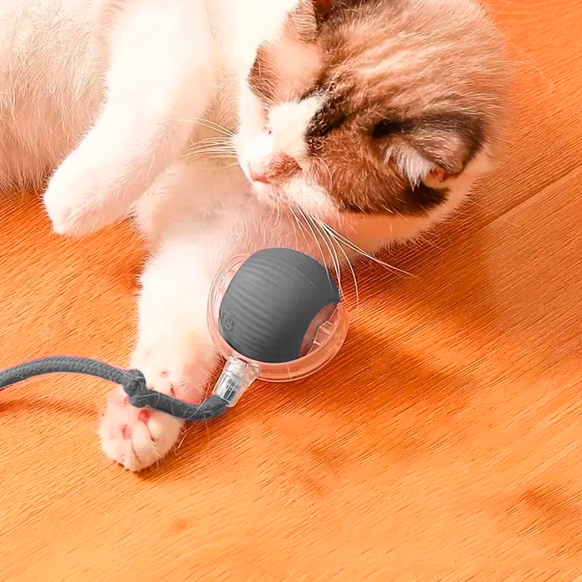 Juguete Interactivo Para Gatos Recargable Pelota Automática 490-181
