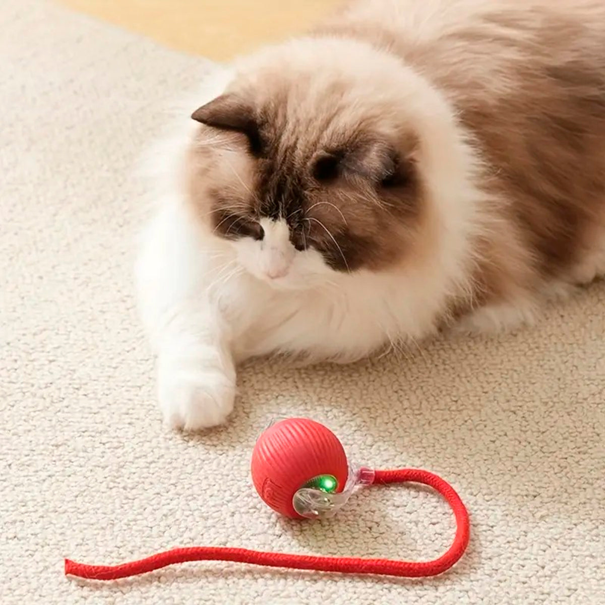 Juguete Interactivo Para Gatos Recargable Pelota Automática 490-181