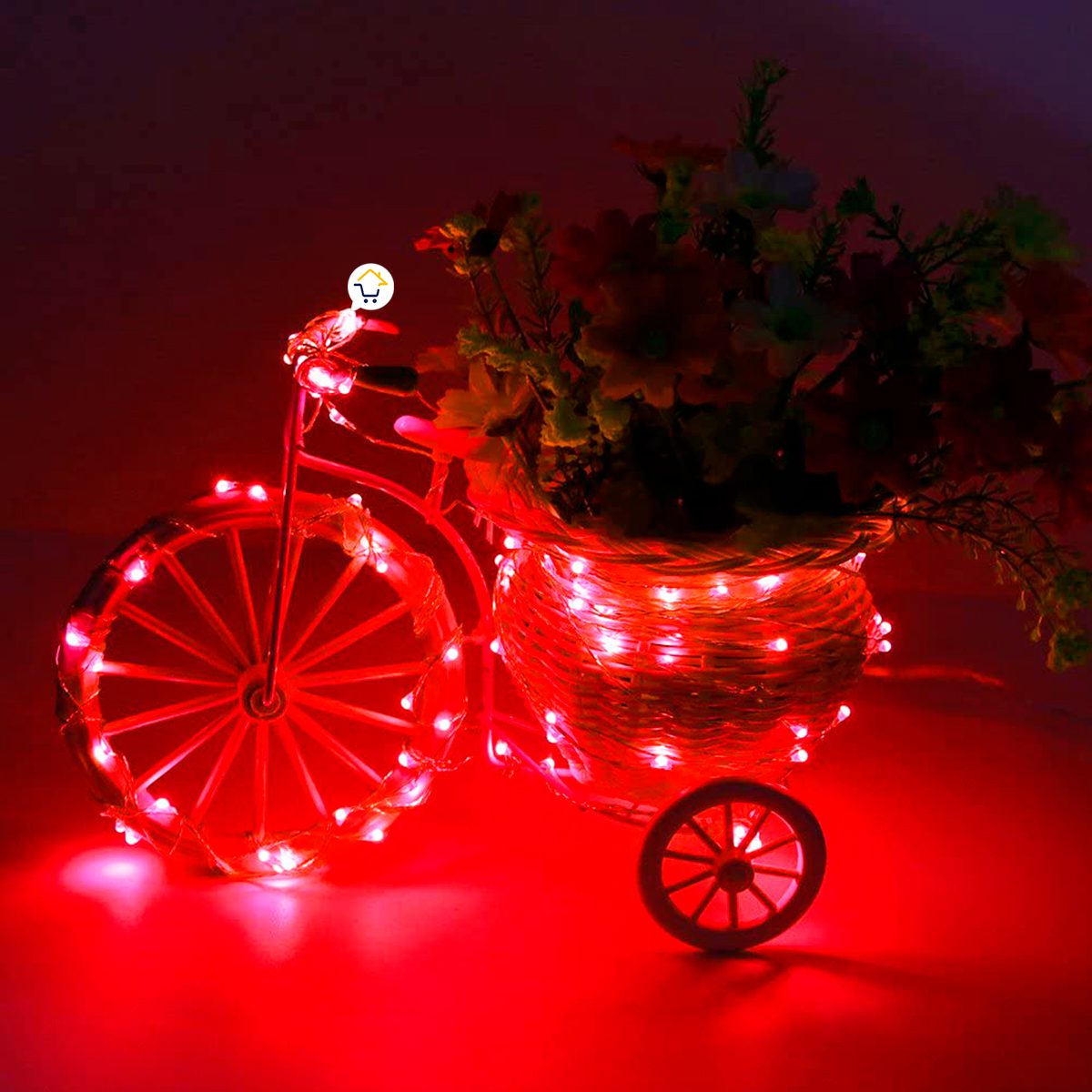 Luces Micro Led Alambre X60 Extensión Luz 6 Metros X60L