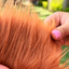 Disfraz De Chuky Para Perro Gato Mascotas de Chucky Halloween TV51
