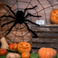 Araña Peluda Gigante Realista Decoración Halloween OF-731