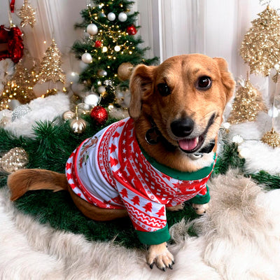 Disfraz Para Mascotas Suéter de Navidad Traje Navideño Perro Gato DPMNS