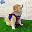 Disfraz Superhéroe Para Perro Gato Mascotas Halloween GD01SUPERM