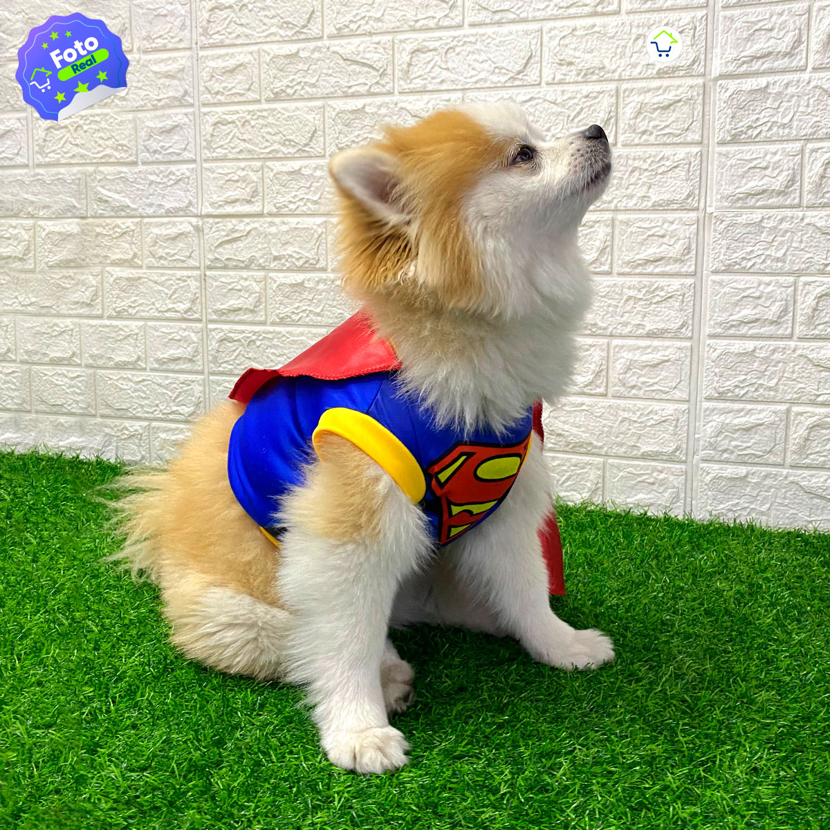 Disfraz Superhéroe Para Perro Gato Mascotas Halloween GD01SUPERM