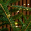 Luces Micro Led Pila 5 M Decoración Luces Navidad 50 Luces Cálida TX50B-W-S