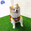 Disfraz Superhéroe Para Perro Gato Mascotas Halloween GD01SUPERM