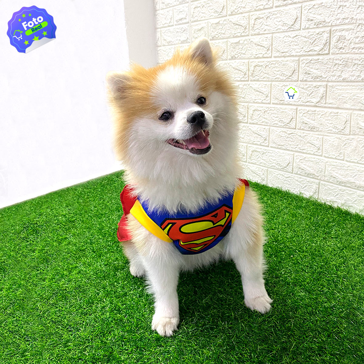 Disfraz Superhéroe Para Perro Gato Mascotas Halloween GD01SUPERM