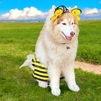 Disfraz Para Mascota De Abeja Halloween OF-1511APET