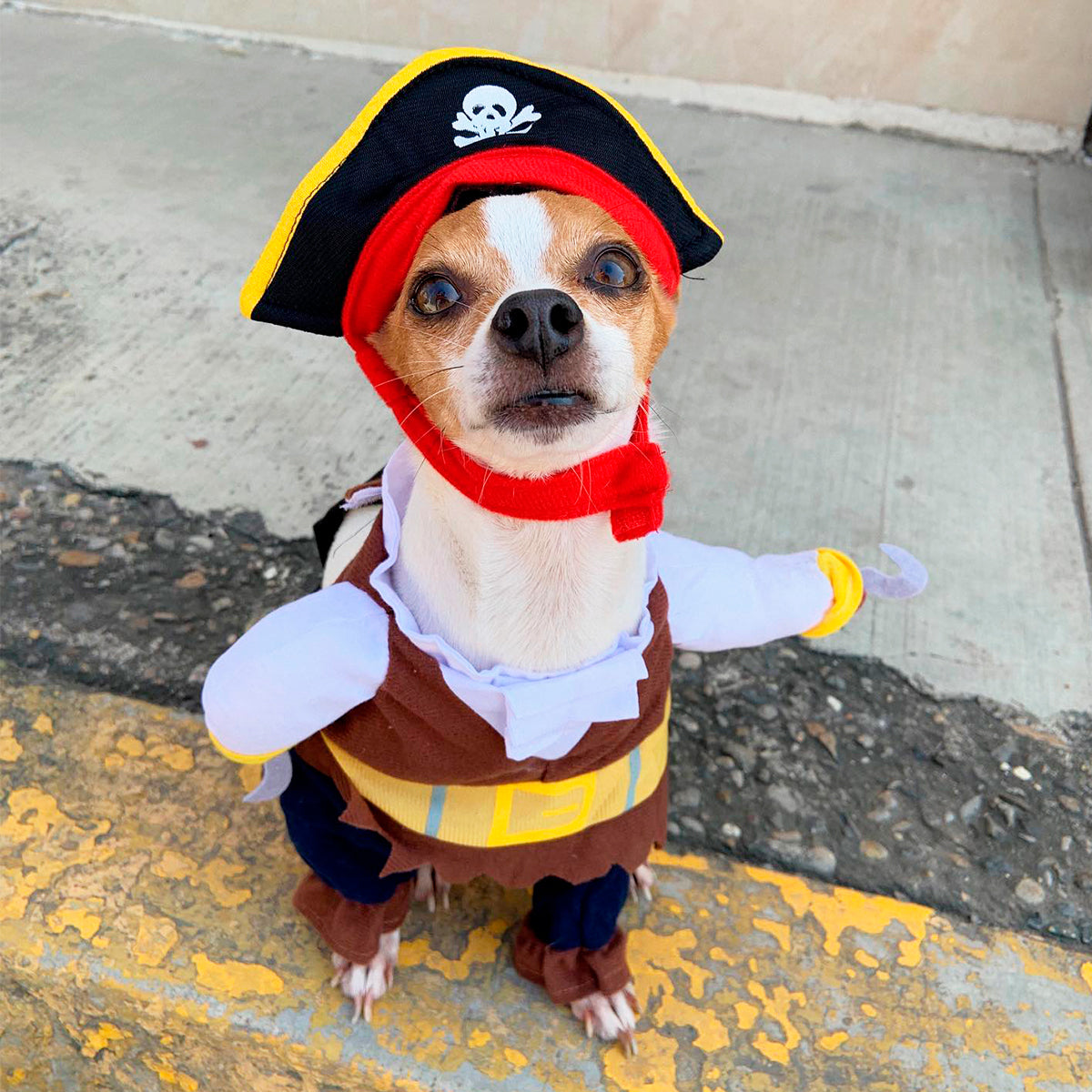 Disfraz Para Mascotas De Pirata Halloween PR395