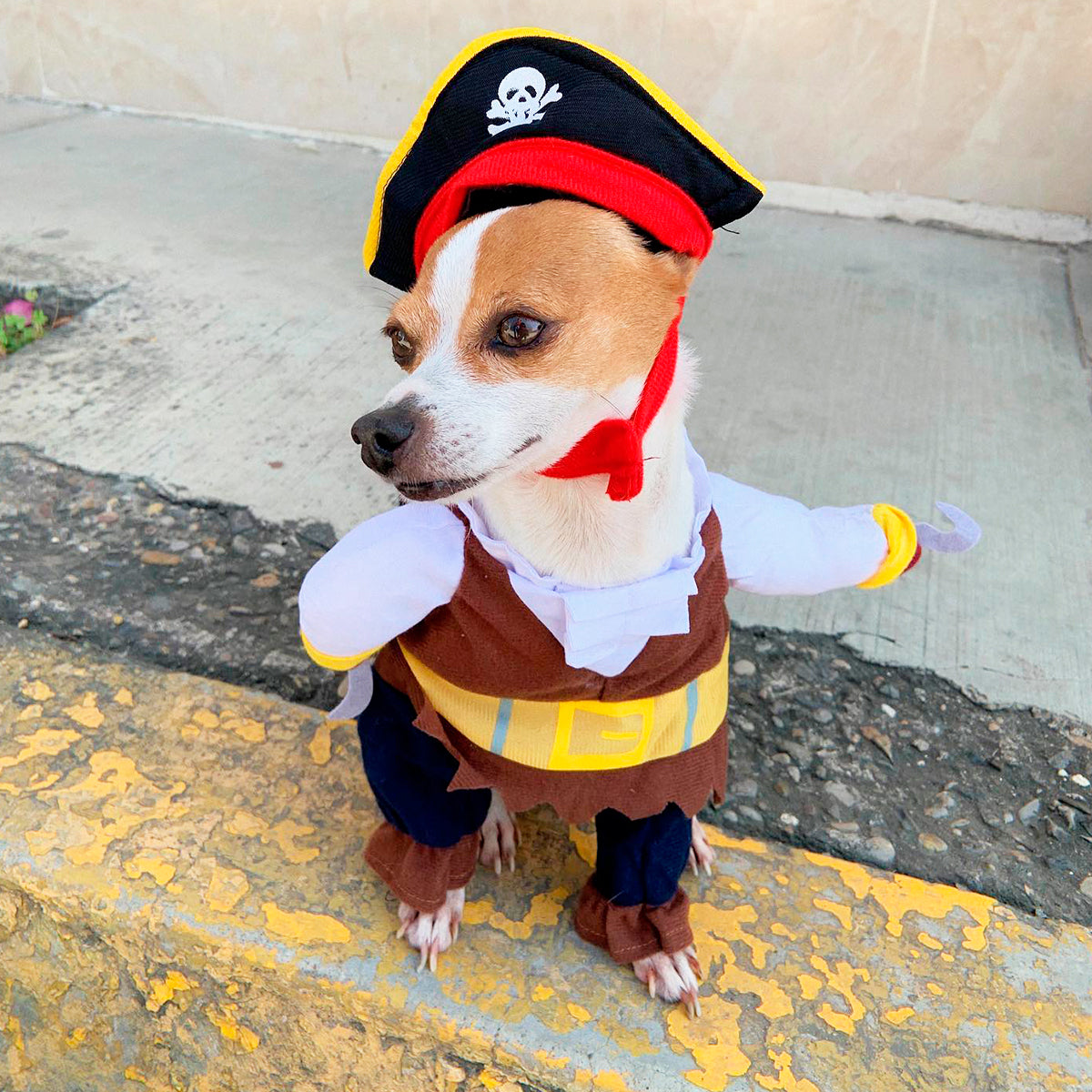 Disfraz Para Mascotas De Pirata Halloween PR395