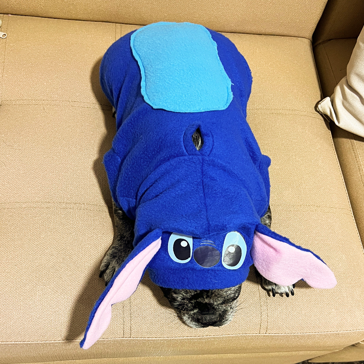 Disfraz Perro Gato Mascotas Stitch Halloween DNST