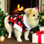 Disfraz Para Mascotas Mickey Mouse Traje Navideño Perro Gato DPMNRATON