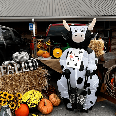 Disfraz Inflable De Vaca Dibujos Animados Para Adultos Halloween MA-910