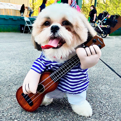 Disfraz Para Mascotas De Guitarrista Músico Guitarra Halloween Perro Gatos PR398