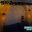 Cortina Luces LED Navidad 10x1 M Decoración 1776