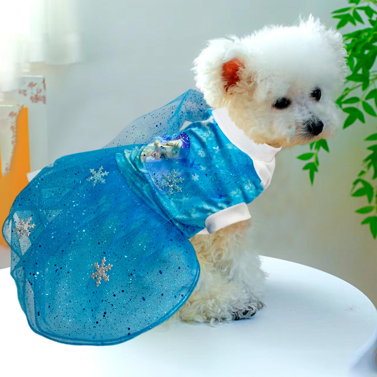 Disfraz Para Mascotas De Elsa Frozen Halloween DELS03