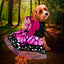 Disfraz Para Mascotas De Mariposa Halloween DMAR01
