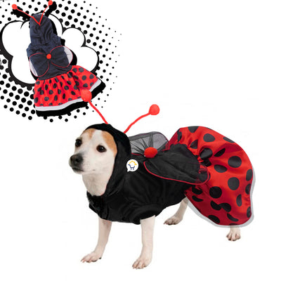 Disfraz Perro Gato Mascotas Mariquita Halloween GY002MR