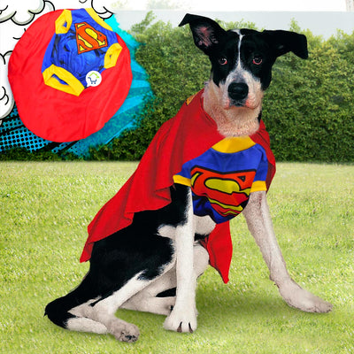 Disfraz Superhéroe Para Perro Gato Mascotas Halloween GD01SUPERM