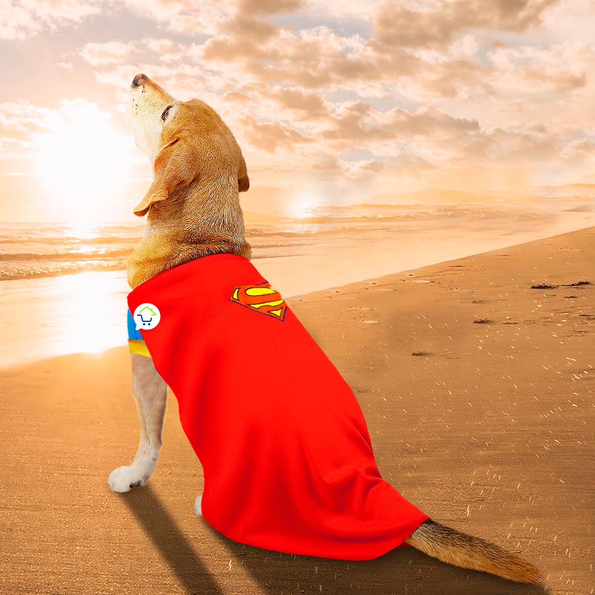 Disfraz Superhéroe Para Perro Gato Mascotas Halloween GD01SUPERM