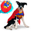 Disfraz Superhéroe Para Perro Gato Mascotas Halloween GD01SUPERM