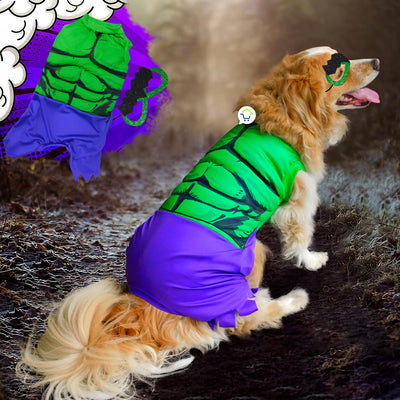 Disfraz Superhéroe Mutante Para Perro Gato Mascotas Halloween GD01HULK