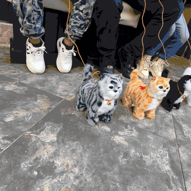 Mascota De juguete Camina Y Sonidos Peluche Gatito Eléctrico SM-139