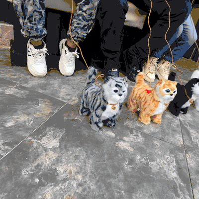 Mascota De juguete Camina Y Sonidos Peluche Gatito Eléctrico SM-139