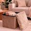 Baúl Plegable Puff Taburete Reposapiés Multiuso LN-241109