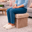 Baúl Plegable Puff Taburete Reposapiés Multiuso LN-241109