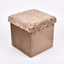 Baúl Plegable Puff Taburete Reposapiés Multiuso LN-241109