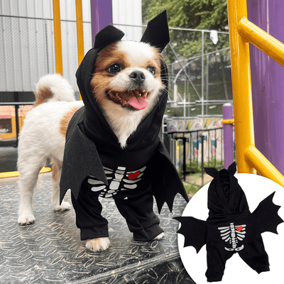 Disfraz Para Mascotas De Murciélago Esqueleto Halloween DMM-02