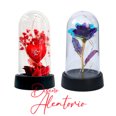 Quita Callos Eléctrico + Flor LED Eterna Pack Regalo San Valentín CLIMRSB
