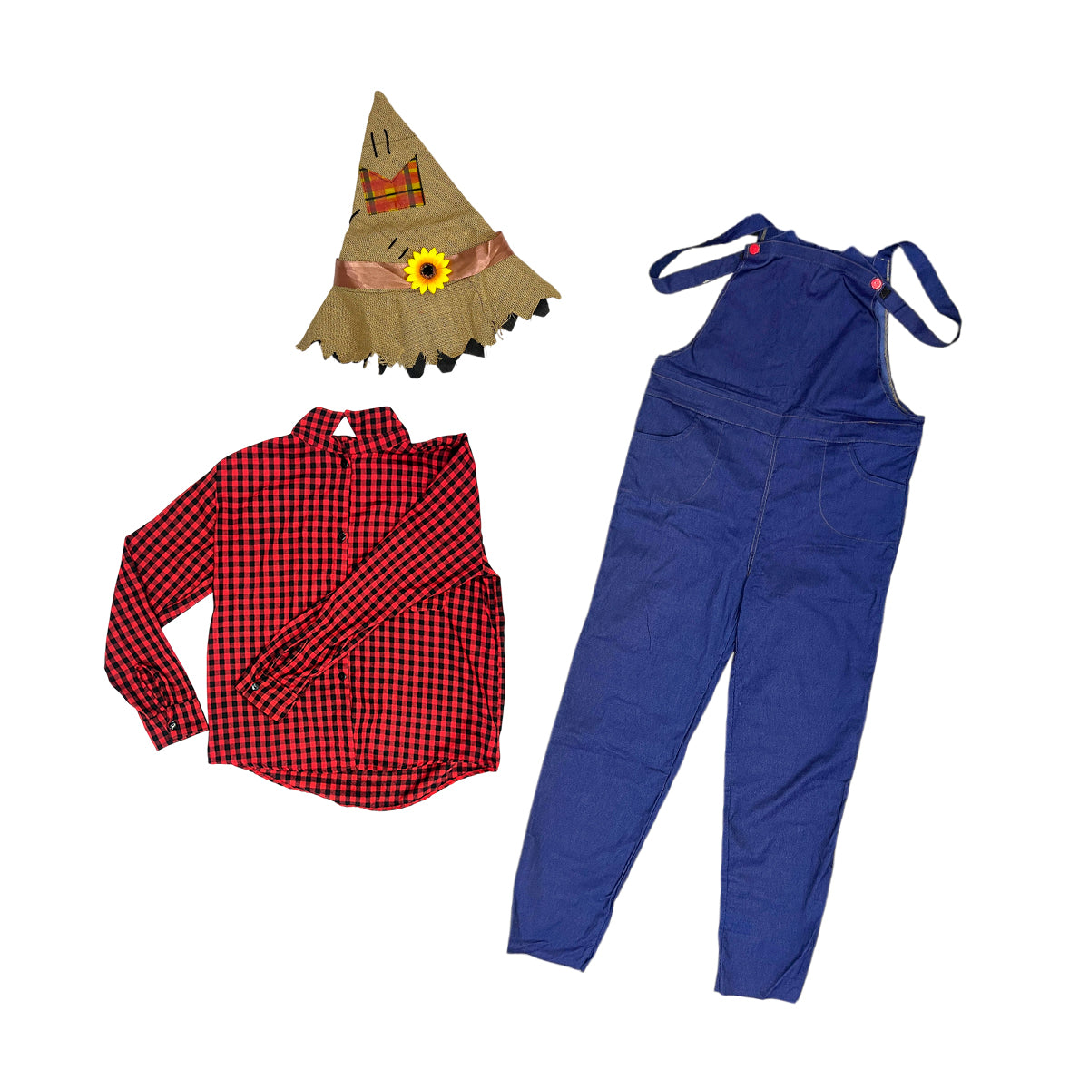 Disfraz de Granjero para Niño y Adulto Espantapájaros Halloween DSGRAN