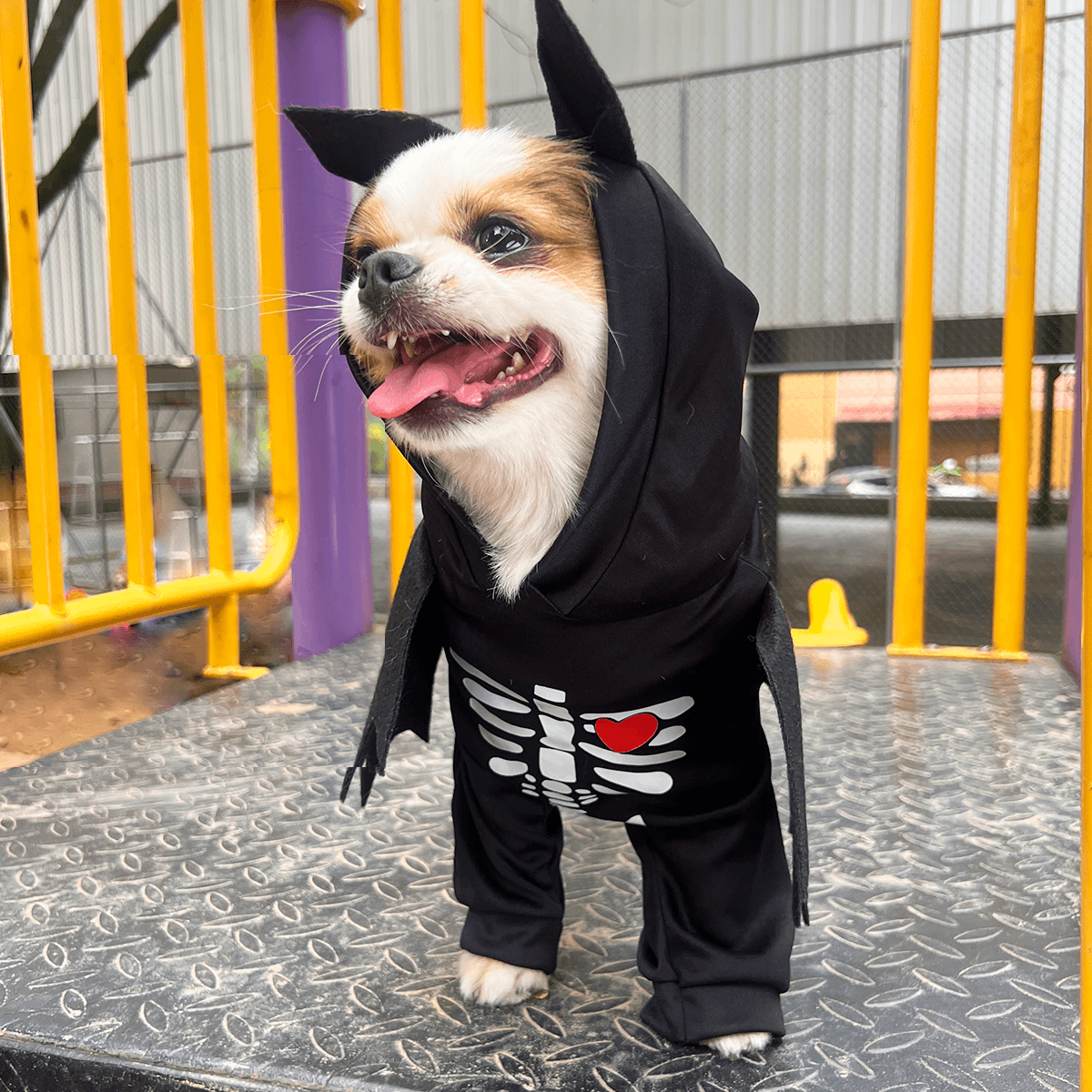 Disfraz Para Mascotas De Murciélago Esqueleto Halloween DMM-02