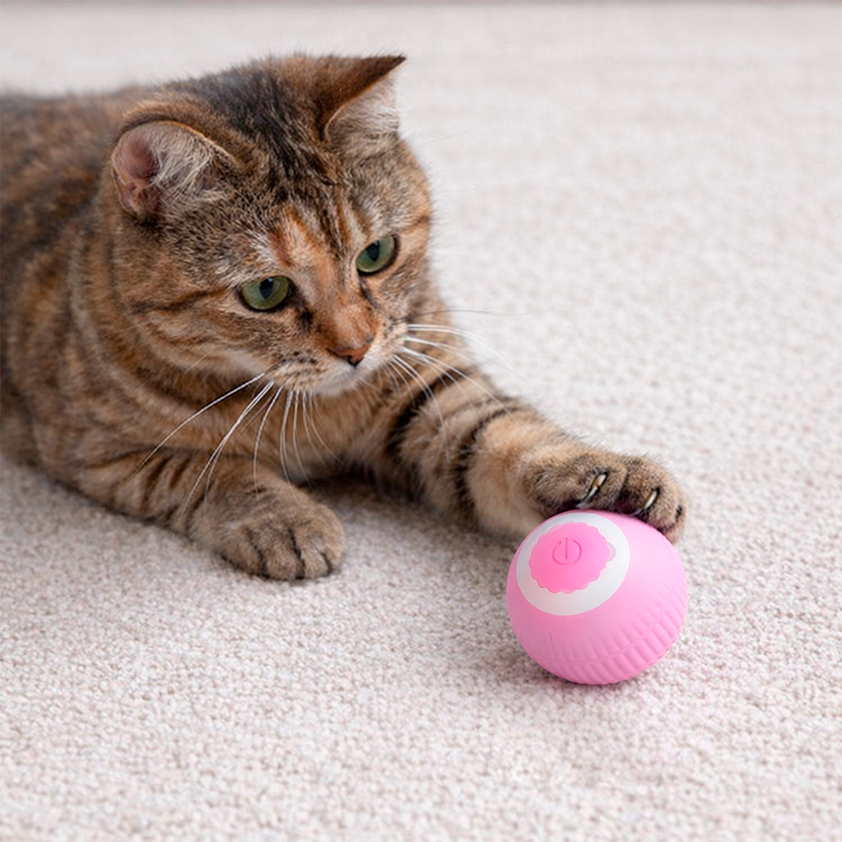Mini Pelota Interactiva Juguete Para Gatos Recargable Automática SANJ488