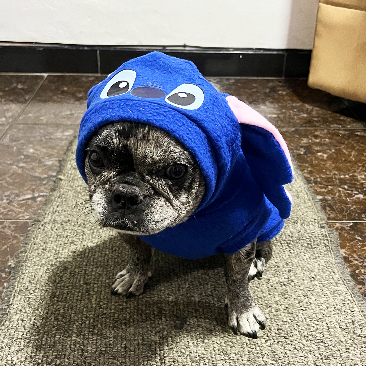 Disfraz Perro Gato Mascotas Stitch Halloween DNST