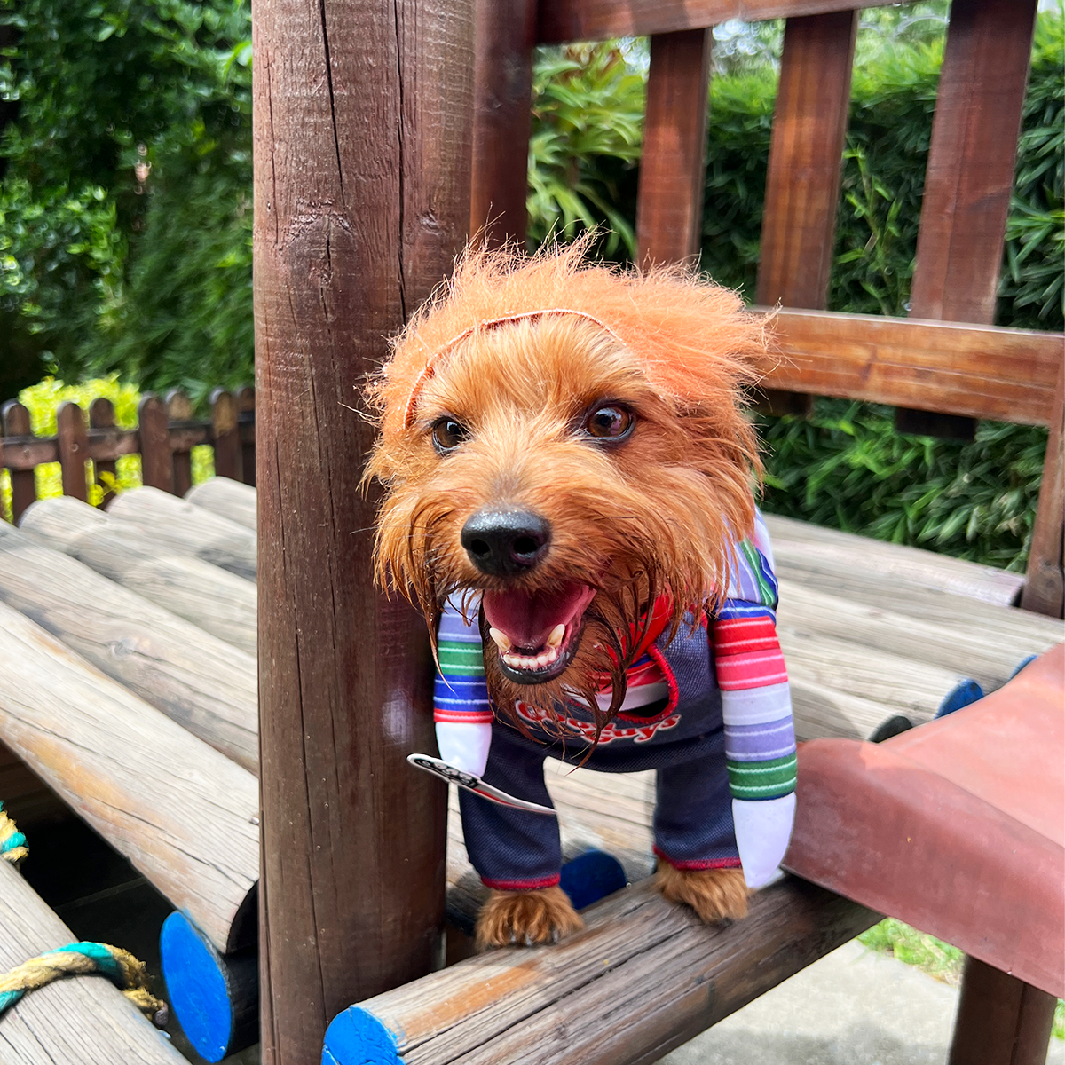Disfraz De Chuky Para Perro Gato Mascotas de Chucky Halloween TV51