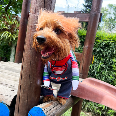 Disfraz De Chuky Para Perro Gato Mascotas de Chucky Halloween TV51