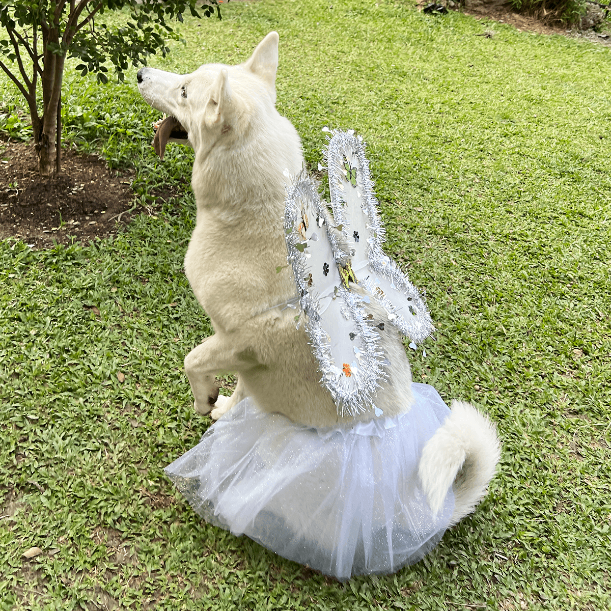 Disfraz Para Mascotas De Ángel Blanco Alas Tutú Halloween Fiesta Disfraces OF-1500PET